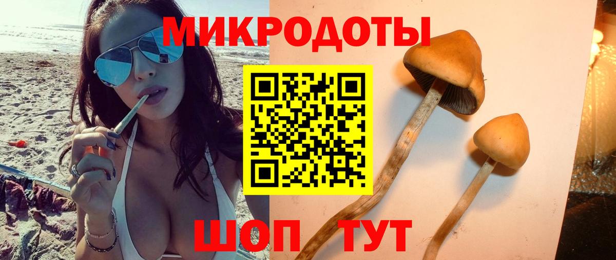 Галлюциногенные грибы ЛСД Ливны
