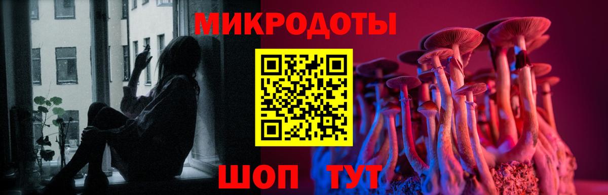 Галлюциногенные грибы Psilocybine cubensis  наркотики  Ливны  Вход с VPN 